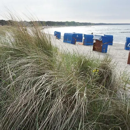 Daire Souterraine-findlinge Breege